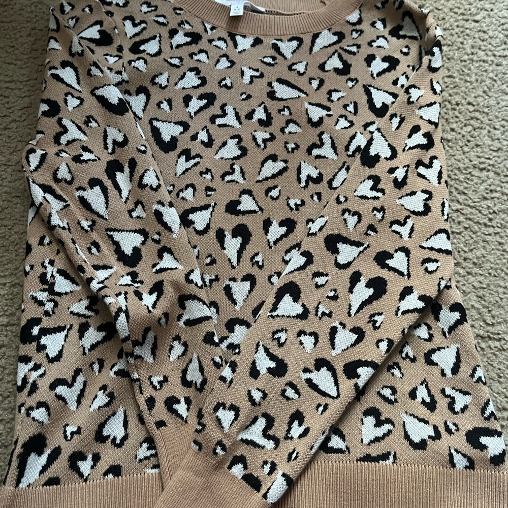 Cheetah sweater